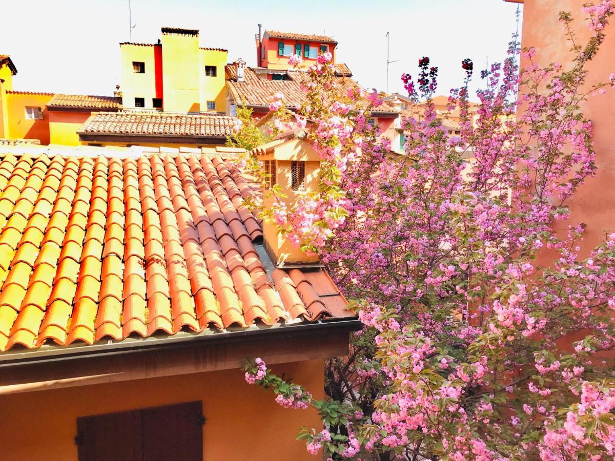 Falcone 22 Bologna Buitenkant foto
